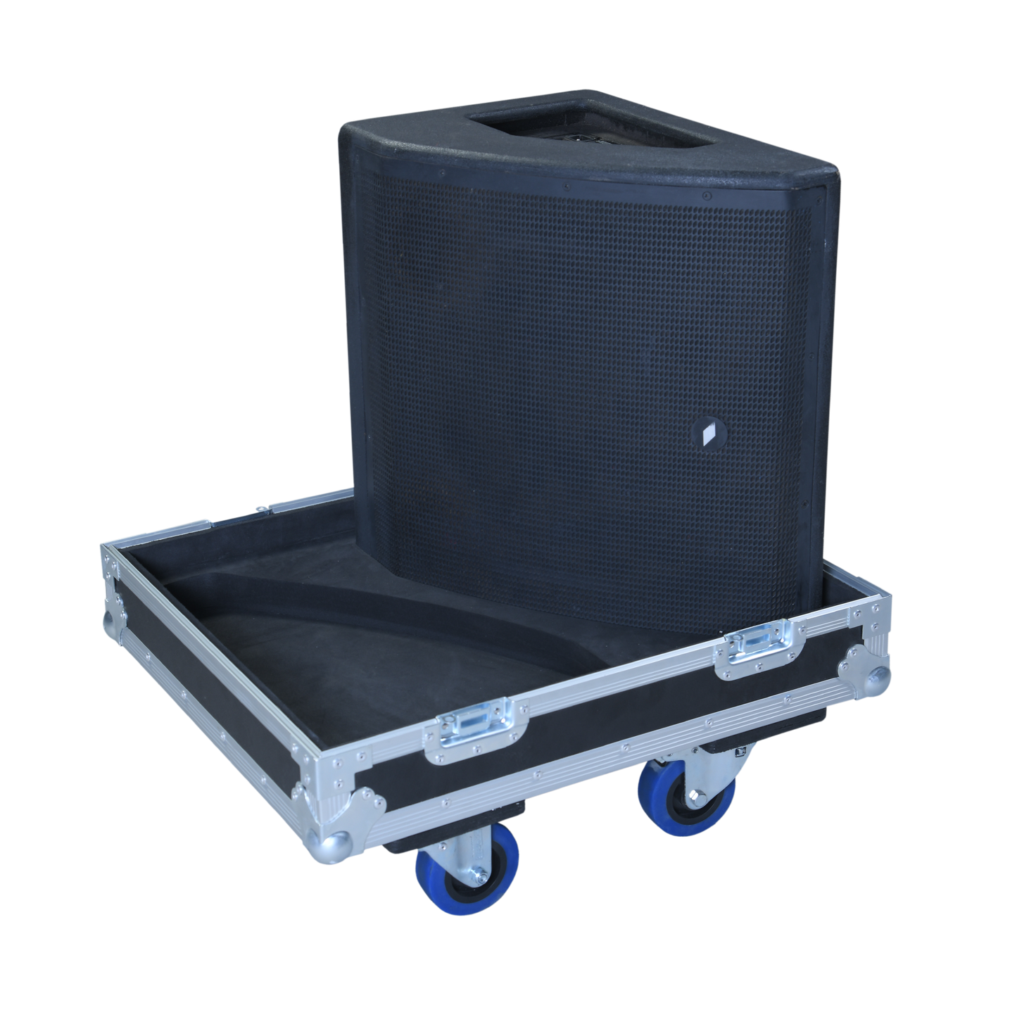 Proel WD10AV2 Stage Monitors